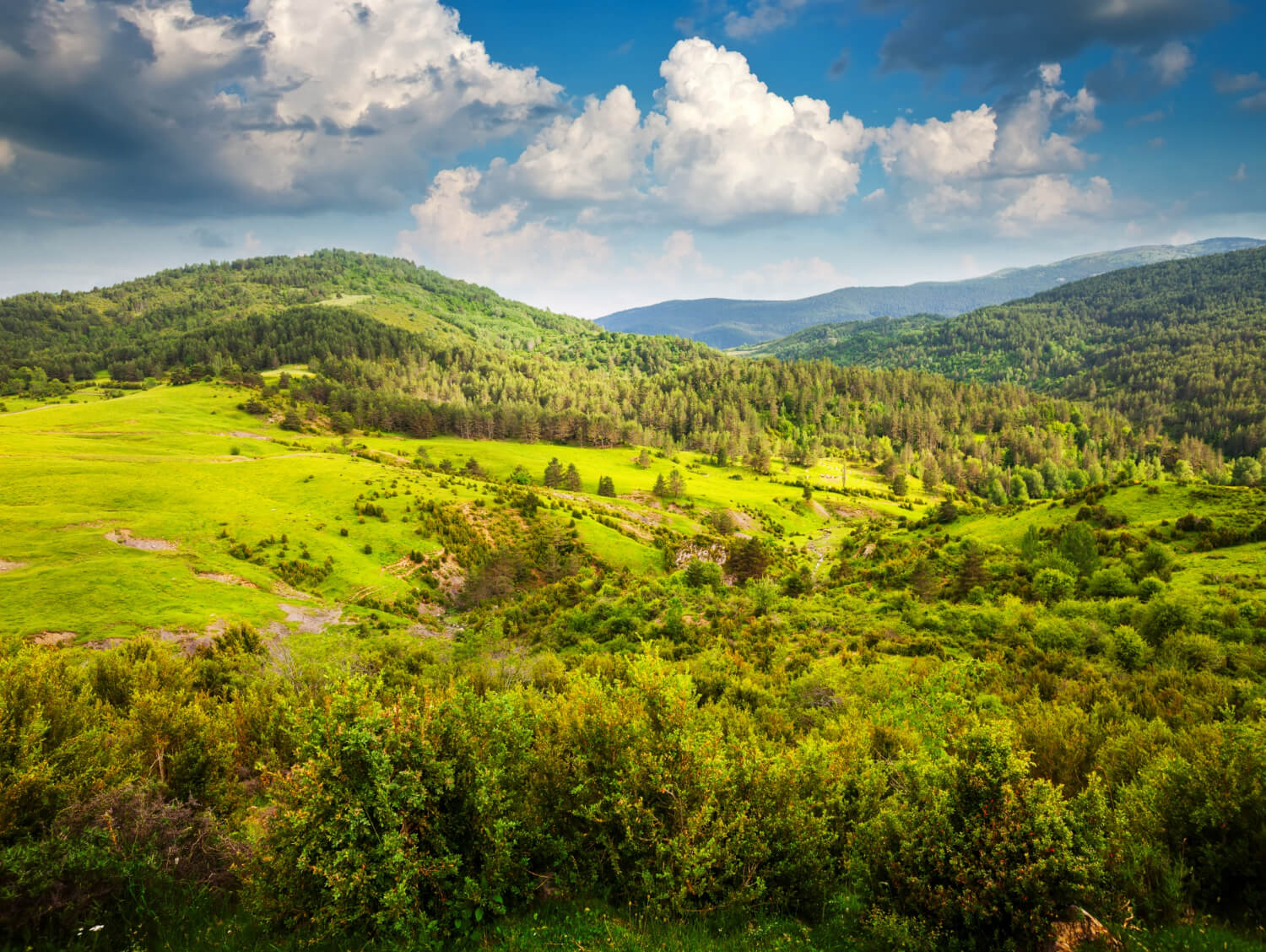 Serbia nature (1)