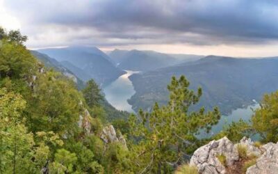 Tara za vikend: šta obići i kako isplanirati putovanje