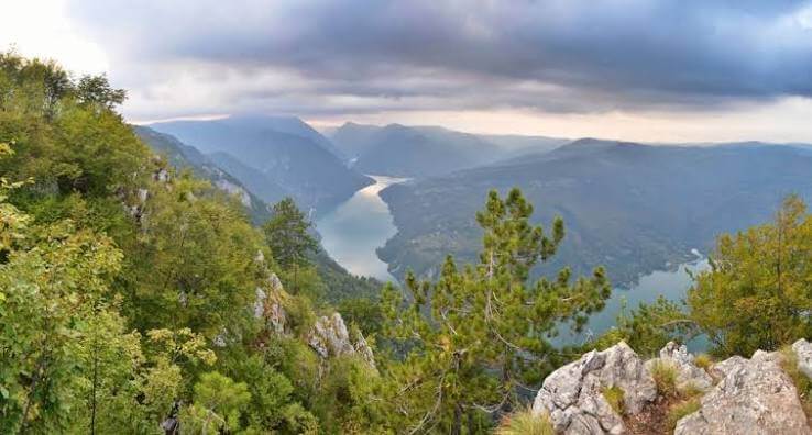 Tara Mountain (1)