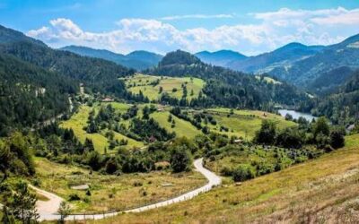 Tara: ideje za izlet u jednu od najlepših planinskih oblasti Srbije